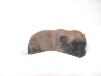 click here to see me grow!