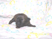 click here to see me grow